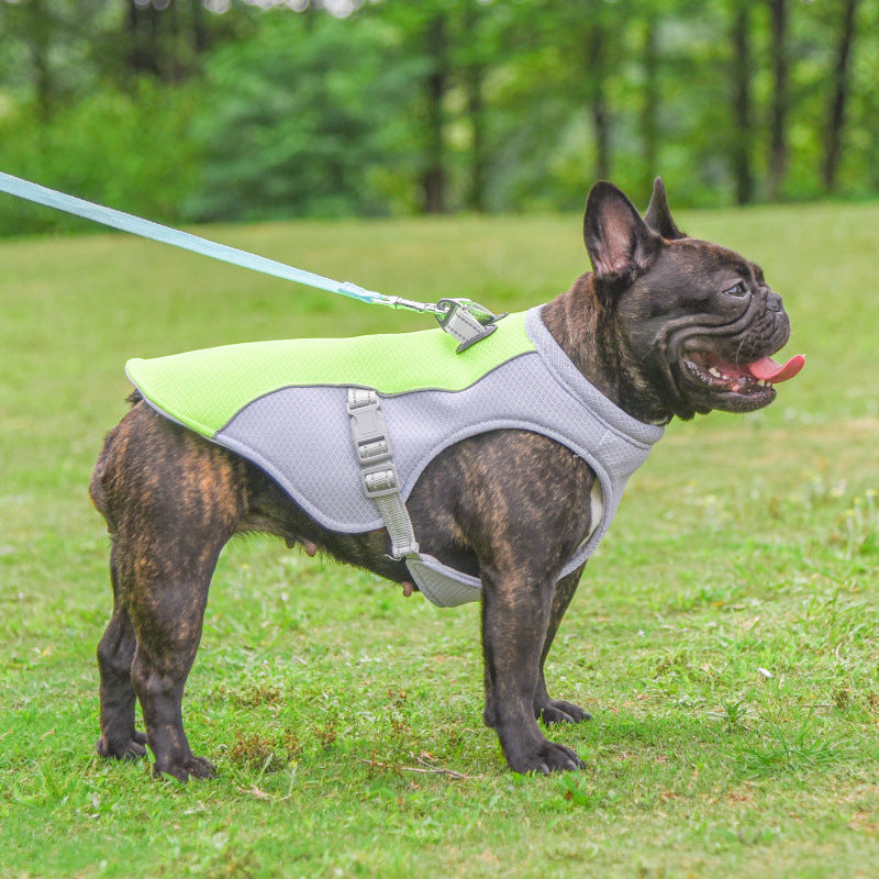 Dog Cooling Vest - Right Fit